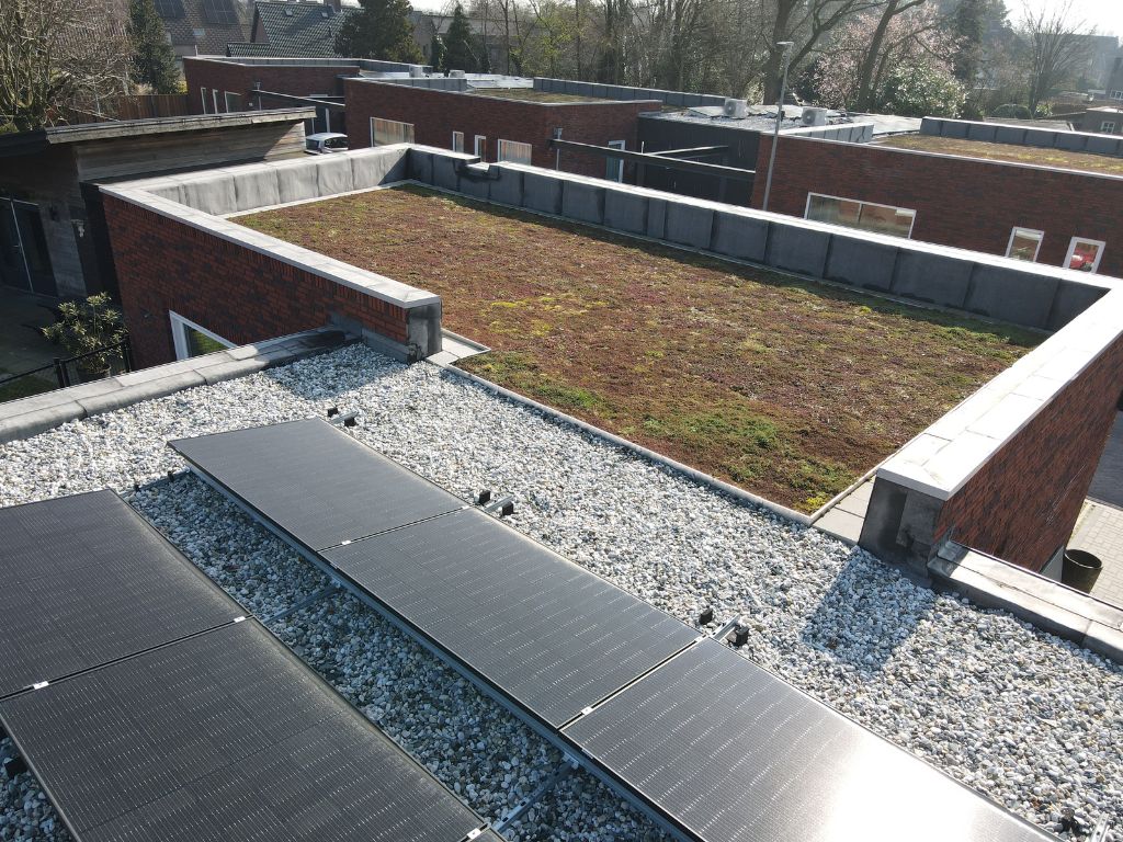 Groene daken en zonnepanelen op de energiezuinige patiowoningen