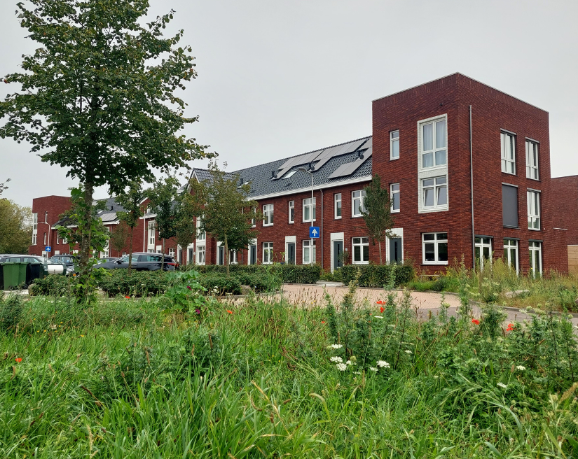 De groenstrook geeft de woningen een prettig uitzicht