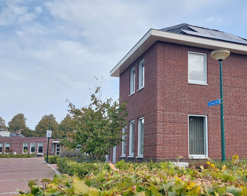 Diamantkwartier, Sint-Oedenrode