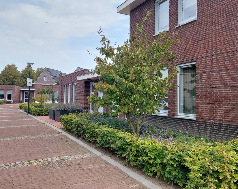 Diamantkwartier, Sint-Oedenrode