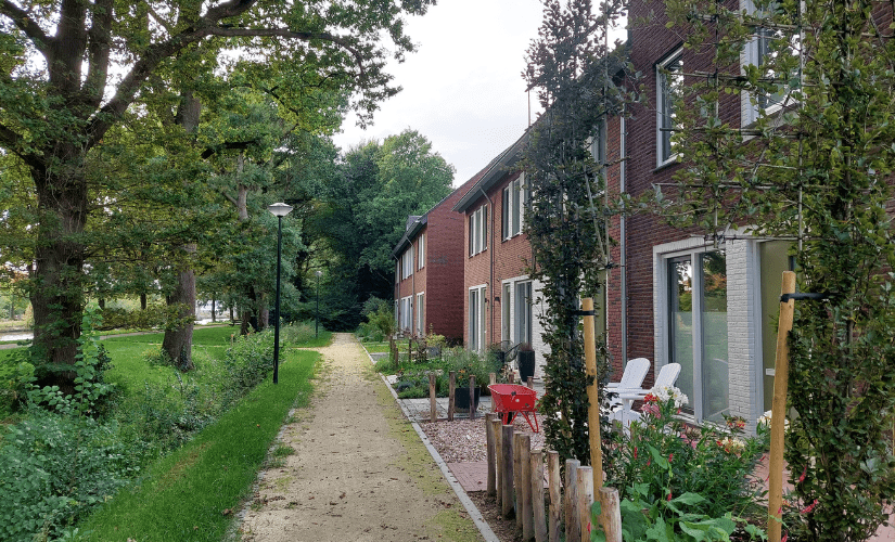 De Waterbloem Son