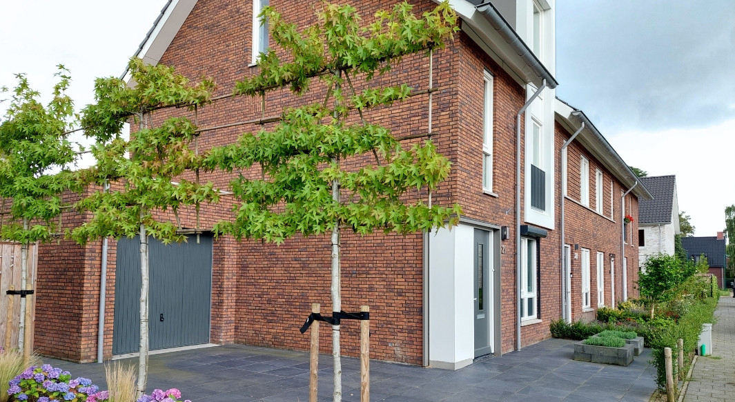 De Beljaart, Dongen