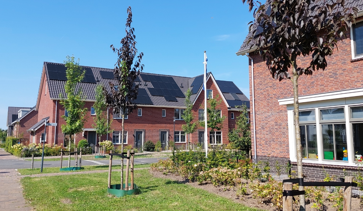 BijVianen fase 1, Hoef en Haag