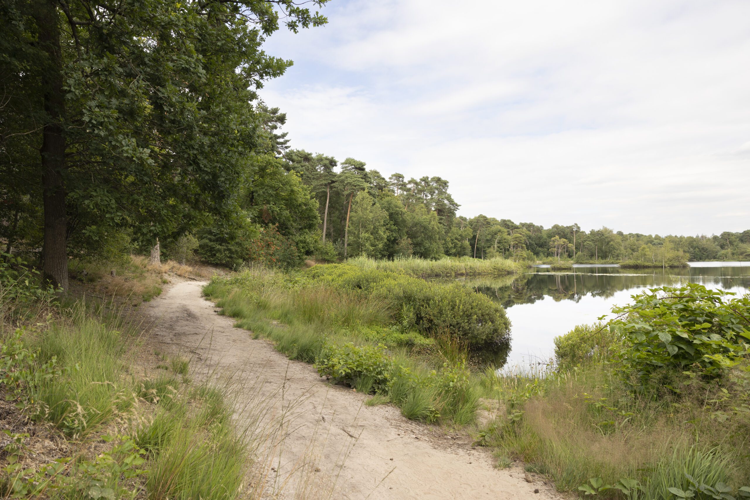 Veel natuur, waaronder bossen en vennen
