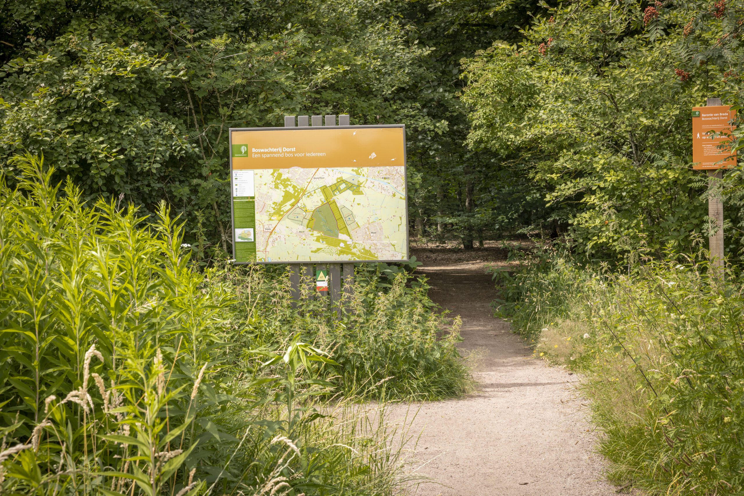 Ga lekker de bossen in bij Boswachterij Dorst