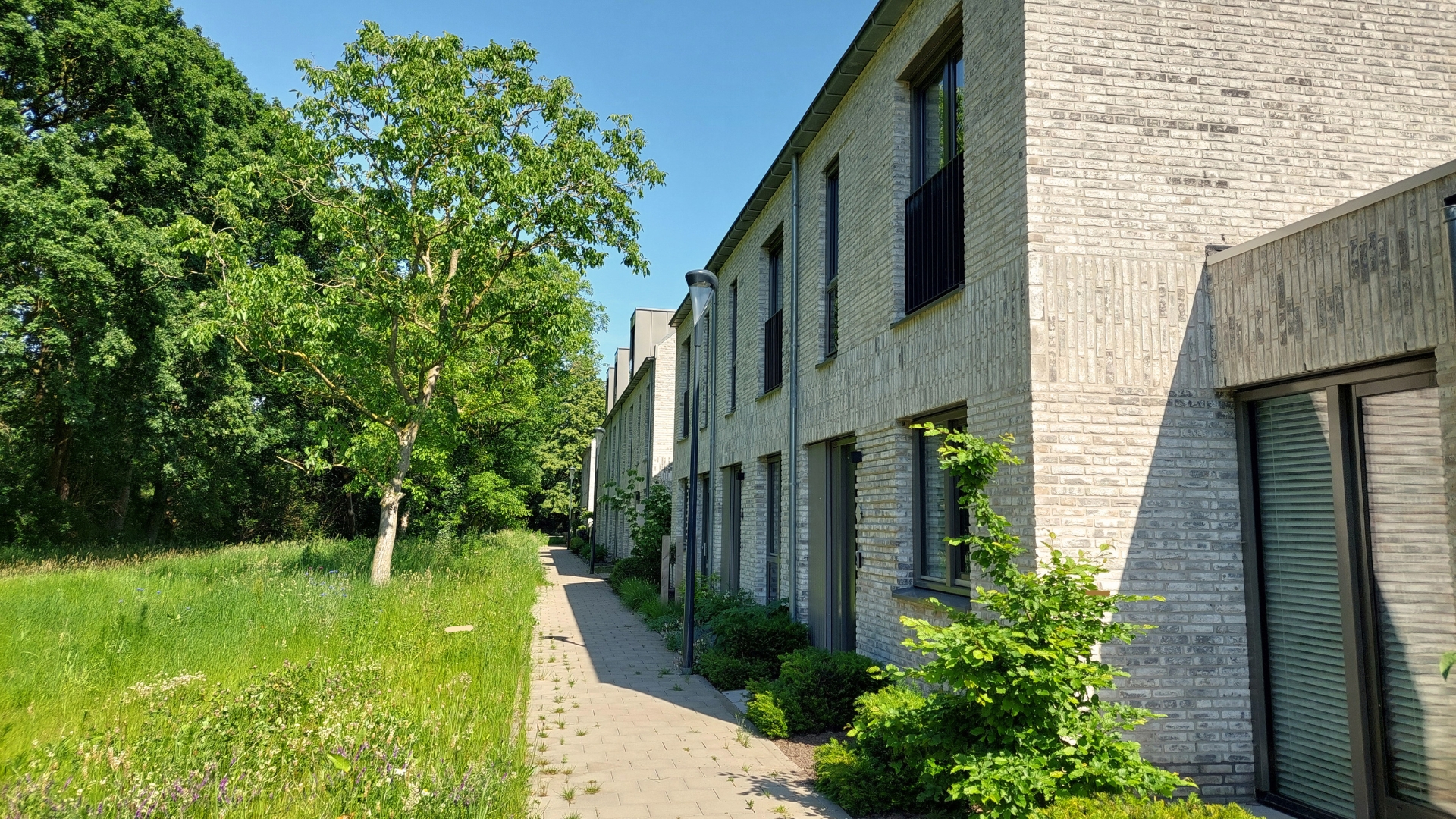 De woningen liggen aan een groenstrook tegen het Wilhelminakanaal