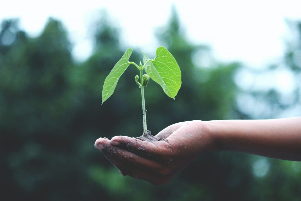 duurzaam groen klimaatadaptief beng energiezuinig biodiversiteit natuur