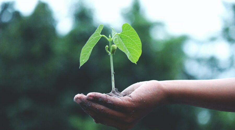 duurzaam groen klimaatadaptief beng energiezuinig biodiversiteit natuur