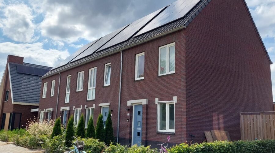 Vogelenzang, Lieshout