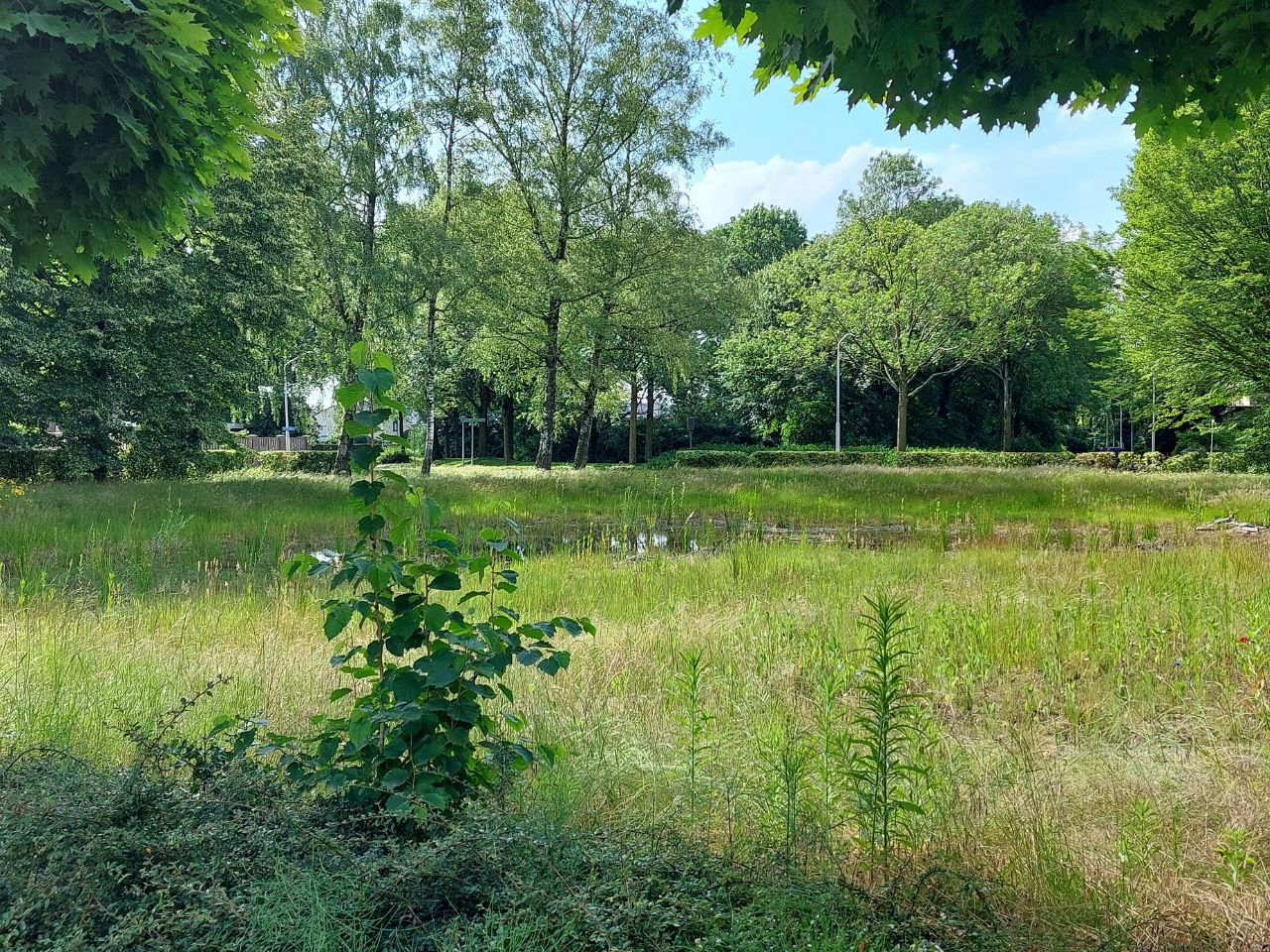 De nieuwbouw komt op het perceel van de vroegere muziekschool