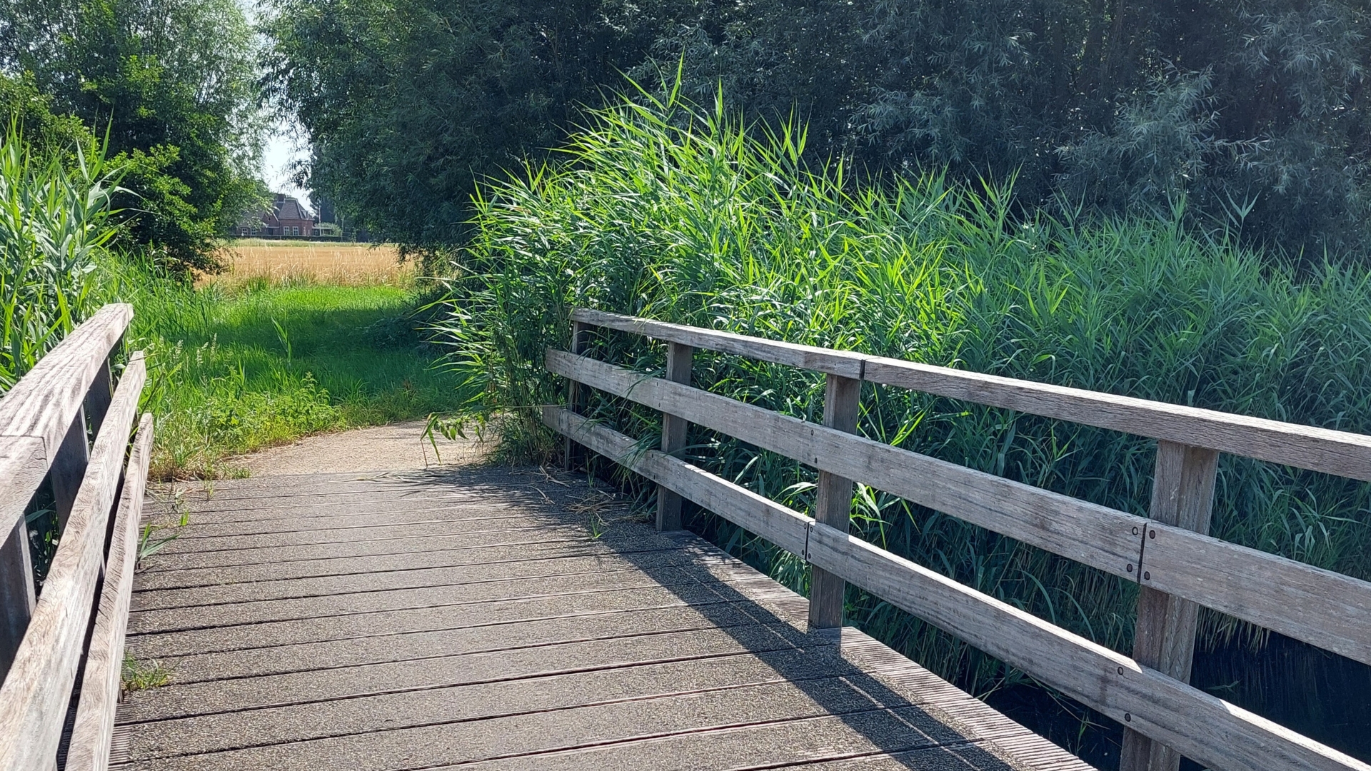 Lekker wandelen over het Mottepad