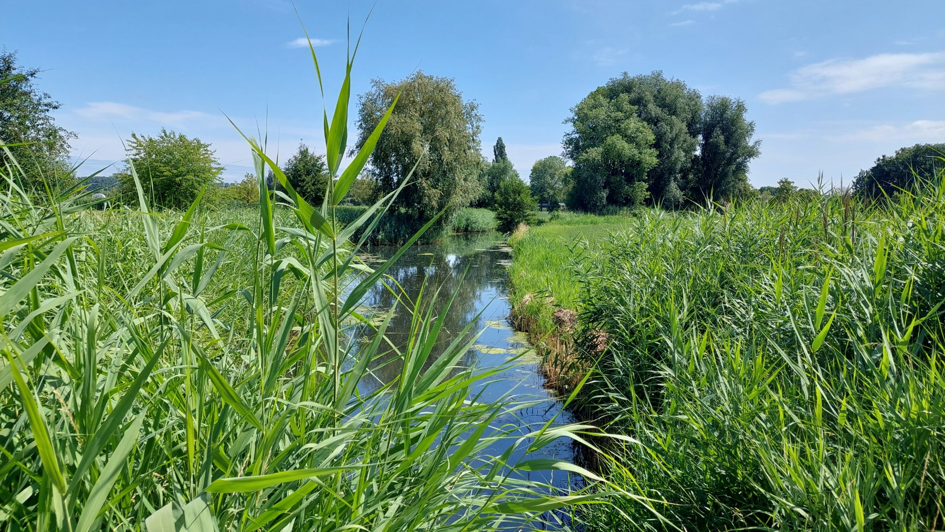 Het dorp Uitwijk ligt aan de oevers van rivier de Alm